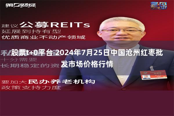 股票t+0平台 2024年7月25日中国沧州红枣批发市场价格行情