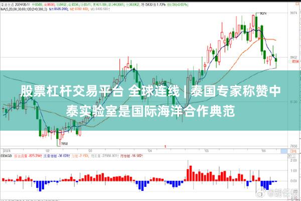 股票杠杆交易平台 全球连线 | 泰国专家称赞中泰实验室是国际海洋合作典范