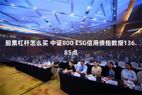 股票杠杆怎么买 中证800 ESG信用债指数报136.85点