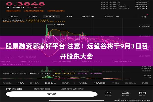 股票融资哪家好平台 注意！远望谷将于9月3日召开股东大会