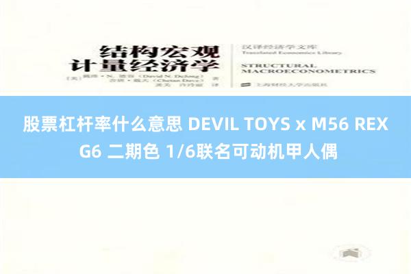 股票杠杆率什么意思 DEVIL TOYS x M56 REX G6 二期色 1/6联名可动机甲人偶