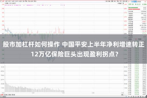 股市加杠杆如何操作 中国平安上半年净利增速转正 12万亿保险巨头出现盈利拐点？