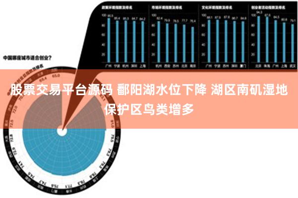 股票交易平台源码 鄱阳湖水位下降 湖区南矶湿地保护区鸟类增多