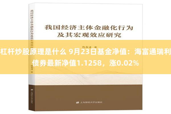 杠杆炒股原理是什么 9月23日基金净值：海富通瑞利债券最新净值1.1258，涨0.02%