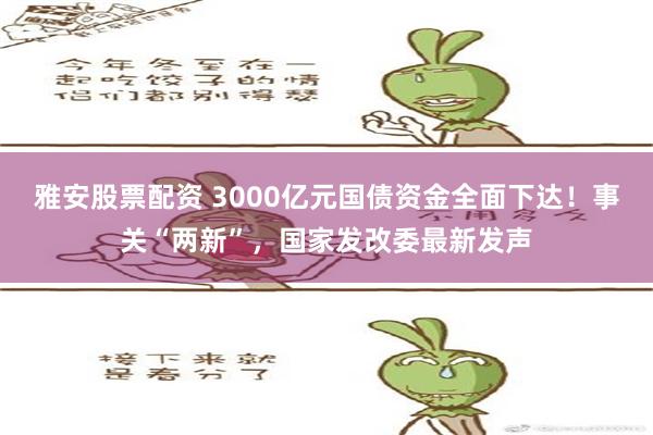 雅安股票配资 3000亿元国债资金全面下达！事关“两新”，国家发改委最新发声