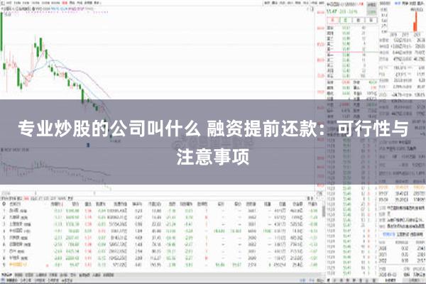 专业炒股的公司叫什么 融资提前还款：可行性与注意事项