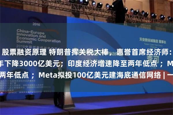 股票融资原理 特朗普挥关税大棒，惠誉首席经济师：贸易战或致美GDP一年下降3000亿美元；印度经济增速降至两年低点 ；Meta拟投100亿美元建海底通信网络 | 一周国际财经