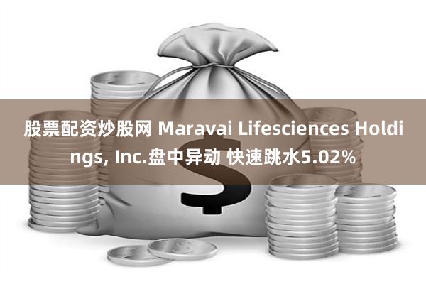 股票配资炒股网 Maravai Lifesciences Holdings, Inc.盘中异动 快速跳水5.02%