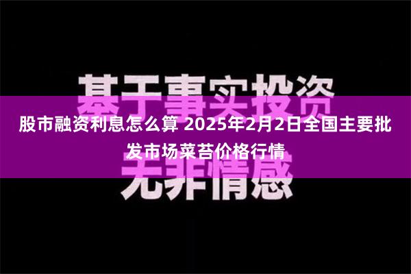 股市融资利息怎么算 2025年2月2日全国主要批发市场菜苔价格行情