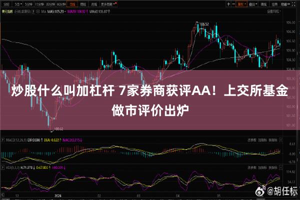 炒股什么叫加杠杆 7家券商获评AA！上交所基金做市评价出炉